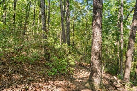 288 Blazingstar Trail Big Canoe GA 30143