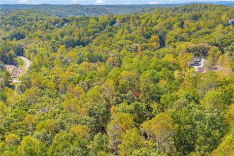 0 Crown Mountain Way Dahlonega GA 30533