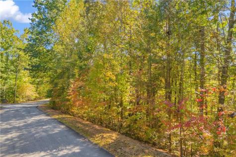 0 Crown Mountain Way Dahlonega GA 30533