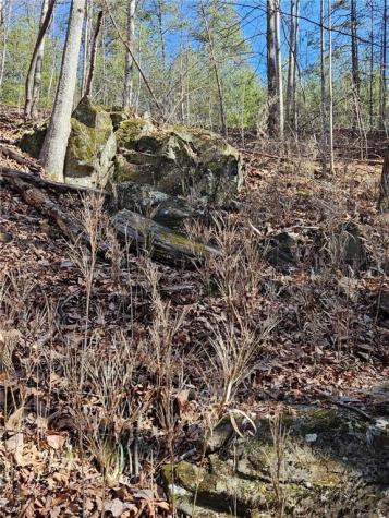 0 Crown Mountain Way Dahlonega GA 30533
