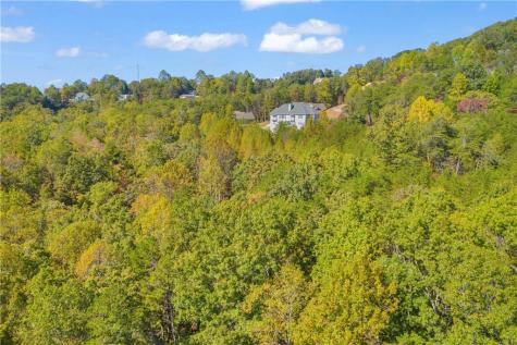 0 Crown Mountain Way Dahlonega GA 30533
