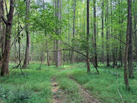 Lot 11 Pettit Road Jasper GA 30143