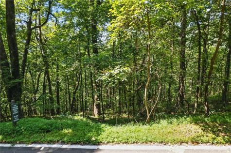 1207 Deer Run Ridge Jasper GA 30143