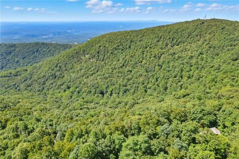 1207 Deer Run Ridge Jasper GA 30143