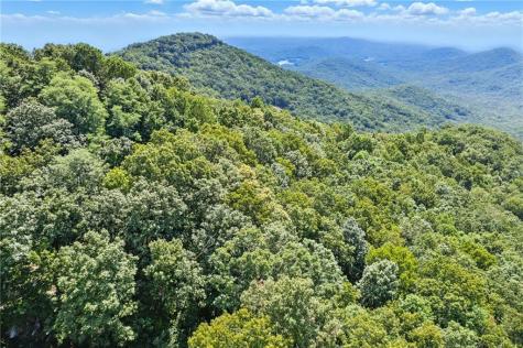 1207 Deer Run Ridge Jasper GA 30143
