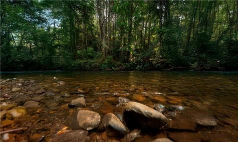 0 Old Rock Creek Road Blue Ridge GA 30513