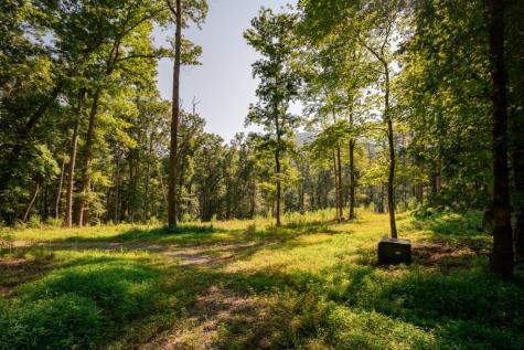 0 Old Rock Creek Road Blue Ridge GA 30513