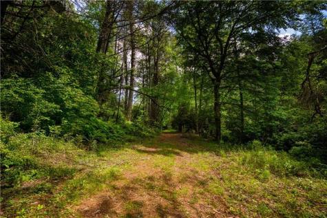 0 Old Rock Creek Road Blue Ridge GA 30513