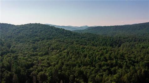0 Old Rock Creek Road Blue Ridge GA 30513