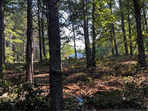 330 Wild Azalea Trail Waleska GA 30183