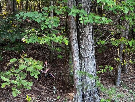 330 Wild Azalea Trail Waleska GA 30183