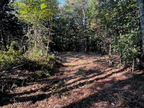 330 Wild Azalea Trail Waleska GA 30183