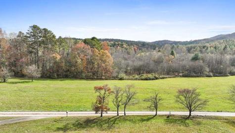 14.36 Night Lane Epworth GA 30541