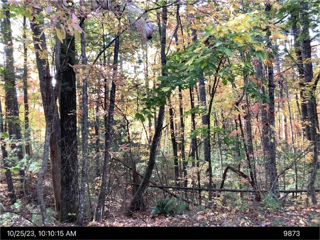 - Andros Court Ellijay GA 30540