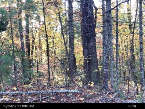 - Andros Court Ellijay GA 30540