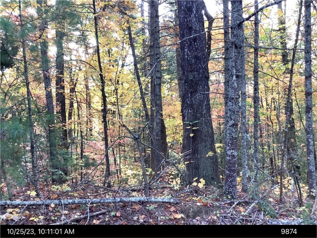 - Andros Court Ellijay GA 30540