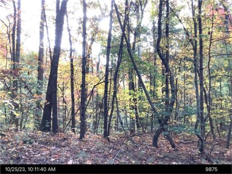 - Andros Court Ellijay GA 30540