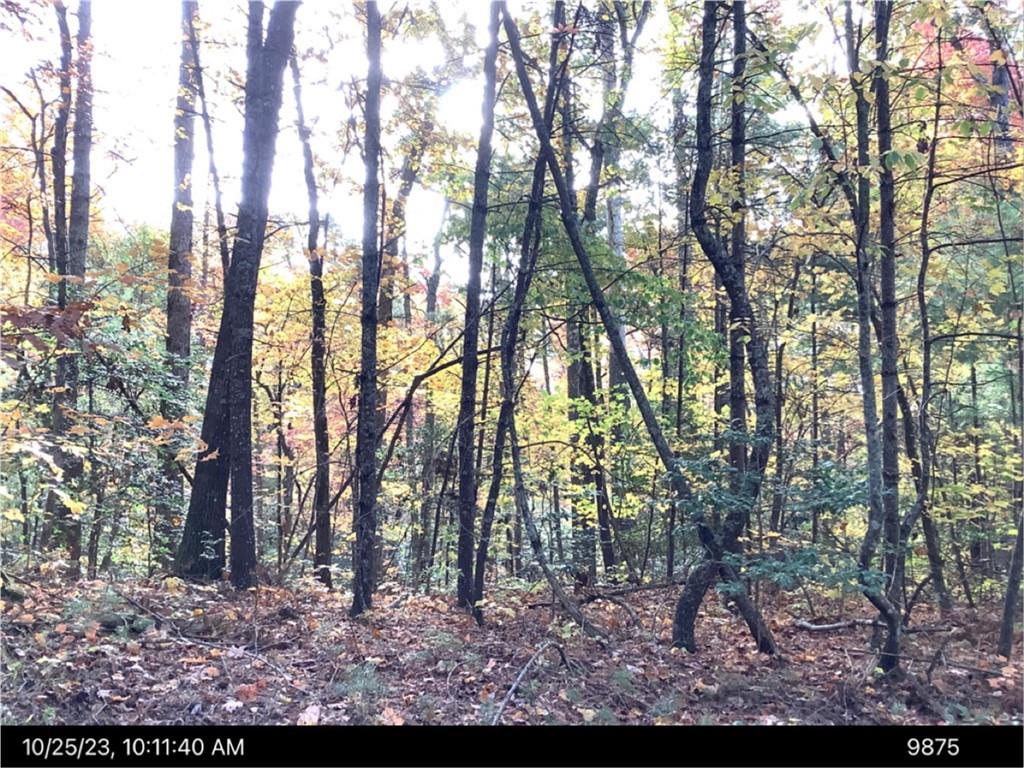 - Andros Court Ellijay GA 30540