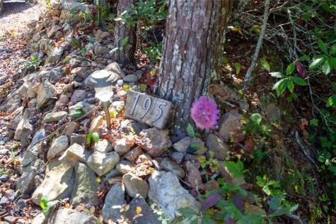 195 Laurel Hill Lane Ellijay GA 30536