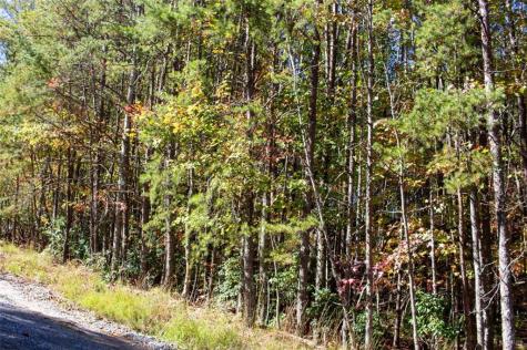 195 Laurel Hill Lane Ellijay GA 30536