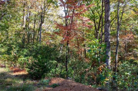 195 Laurel Hill Lane Ellijay GA 30536