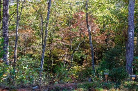 195 Laurel Hill Lane Ellijay GA 30536