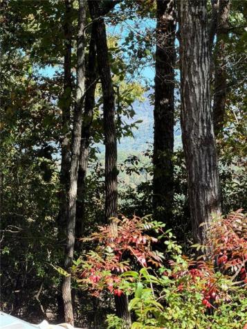 195 Laurel Hill Lane Ellijay GA 30536