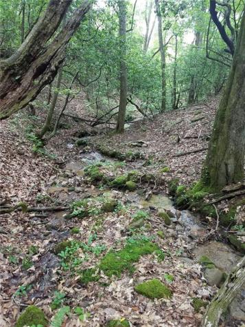 195 Laurel Hill Lane Ellijay GA 30536