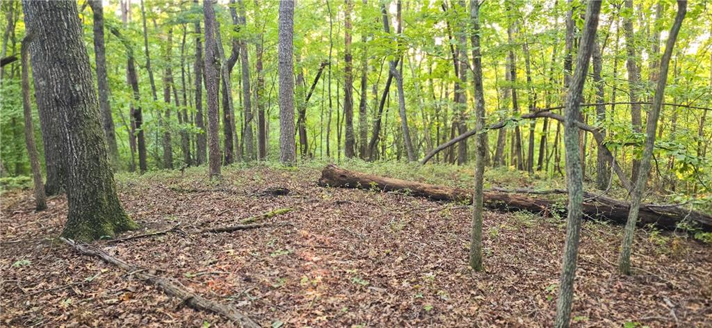 0 Seye Wailo Trail Clarkesville GA 30523