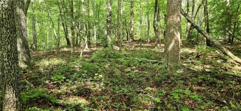 0 Seye Wailo Trail Clarkesville GA 30523