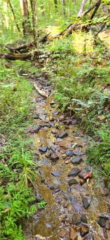 0 Seye Wailo Trail Clarkesville GA 30523