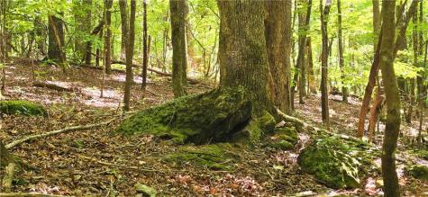 0 Seye Wailo Trail Clarkesville GA 30523