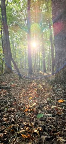 0 Seye Wailo Trail Clarkesville GA 30523