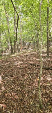 0 Seye Wailo Trail Clarkesville GA 30523