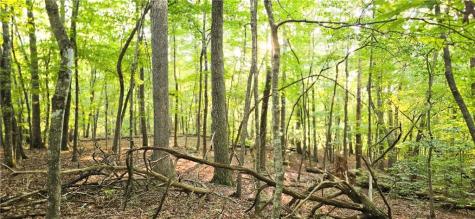 0 Seye Wailo Trail Clarkesville GA 30523