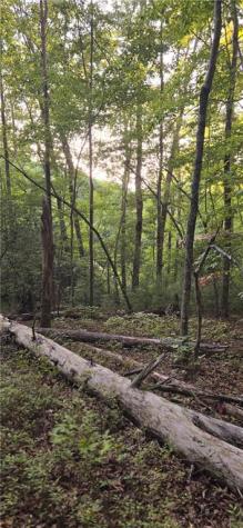 0 Seye Wailo Trail Clarkesville GA 30523
