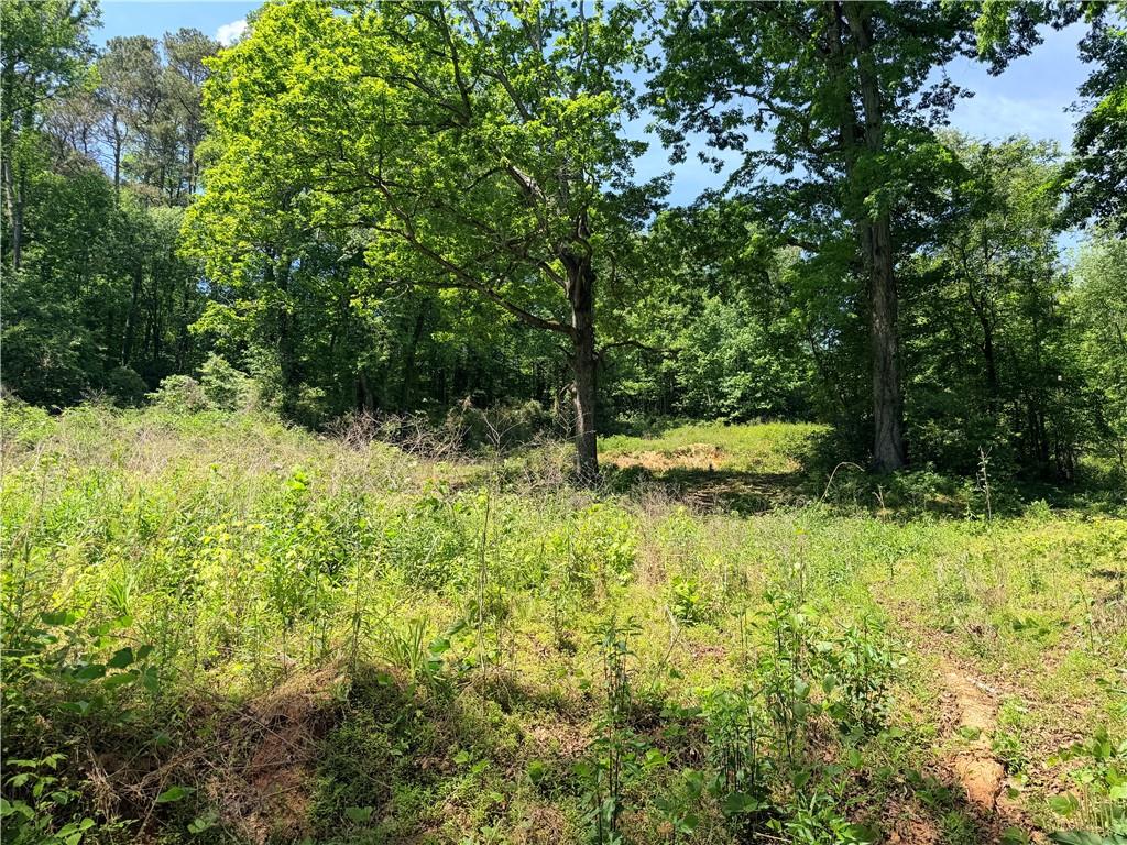 0 Old Highway 5 S Ellijay GA 30540