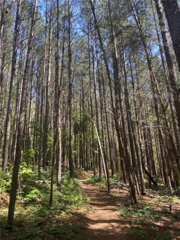 0 Old Highway 5 S Ellijay GA 30540