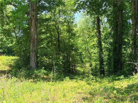 0 Old Highway 5 S Ellijay GA 30540