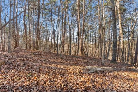 0 Golden Lot 2 Avenue Dahlonega GA 30533