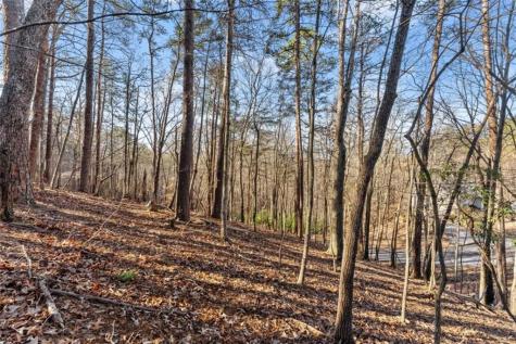 0 Golden Lot 2 Avenue Dahlonega GA 30533