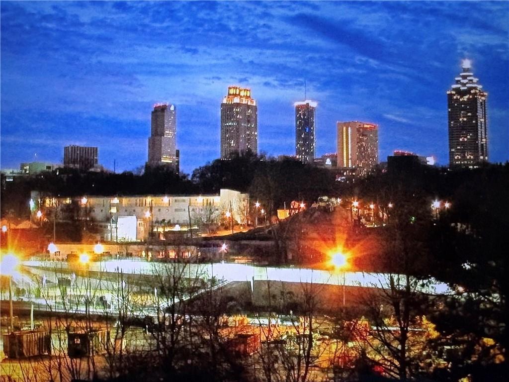 1044 Camilla Street SW Atlanta GA 30314