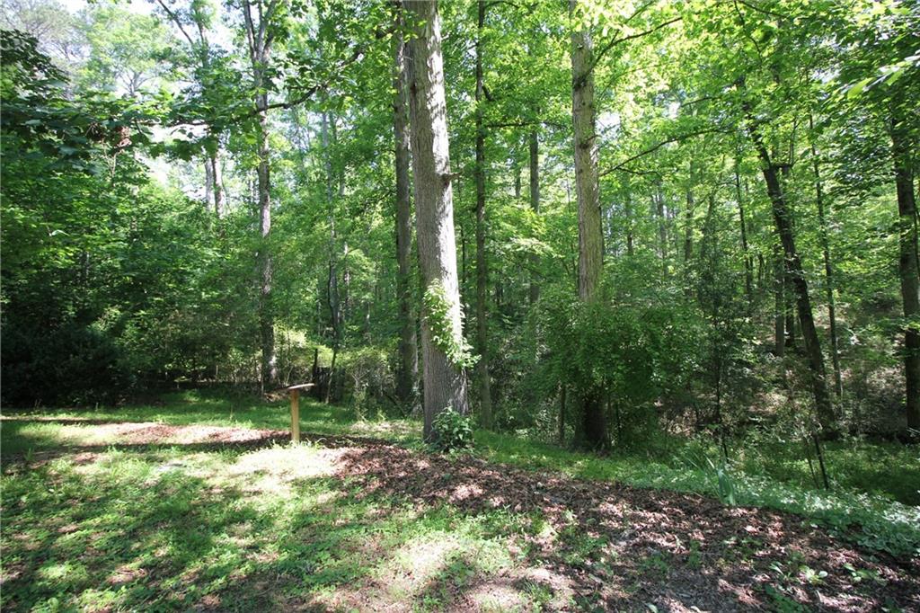 3055 Longstreet Road Milton GA 30004
