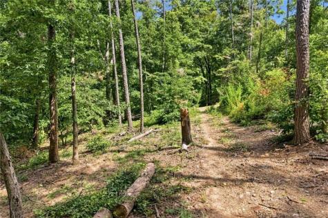 0 Lumpkin View Cleveland GA 30528