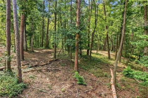 0 Lumpkin View Cleveland GA 30528