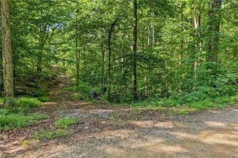 0 Lumpkin View Cleveland GA 30528