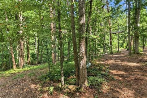 0 Lumpkin View Cleveland GA 30528