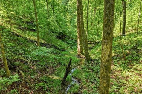 0 Lumpkin View Cleveland GA 30528