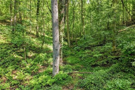 0 Lumpkin View Cleveland GA 30528