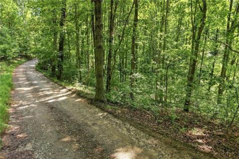 0 Lumpkin View Cleveland GA 30528